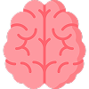 brain